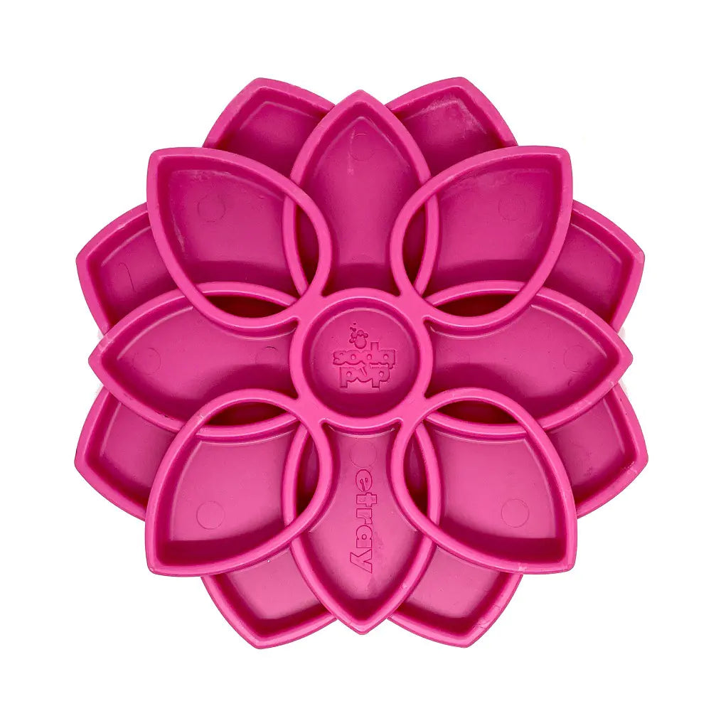 Interactive Slow Feeder